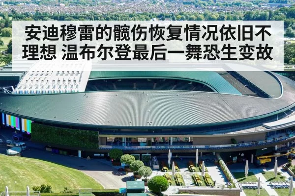 安迪穆雷的髋伤恢复情况依旧不理想 温布尔登最后一舞恐生变故