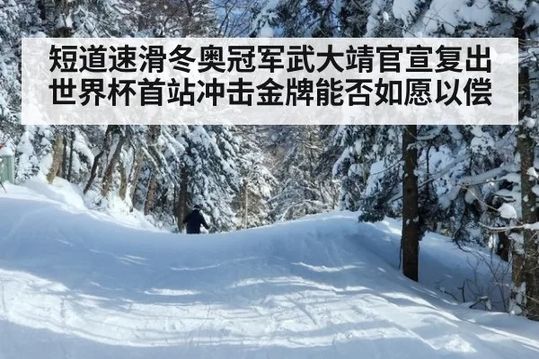 短道速滑冬奥冠军武大靖官宣复出世界杯首站冲击金牌能否如愿以偿